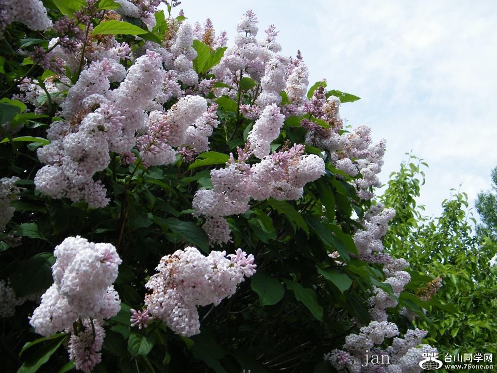 DSCF6171.JPG