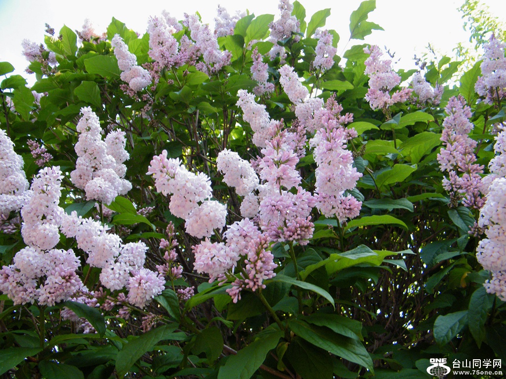 DSCF6149.JPG