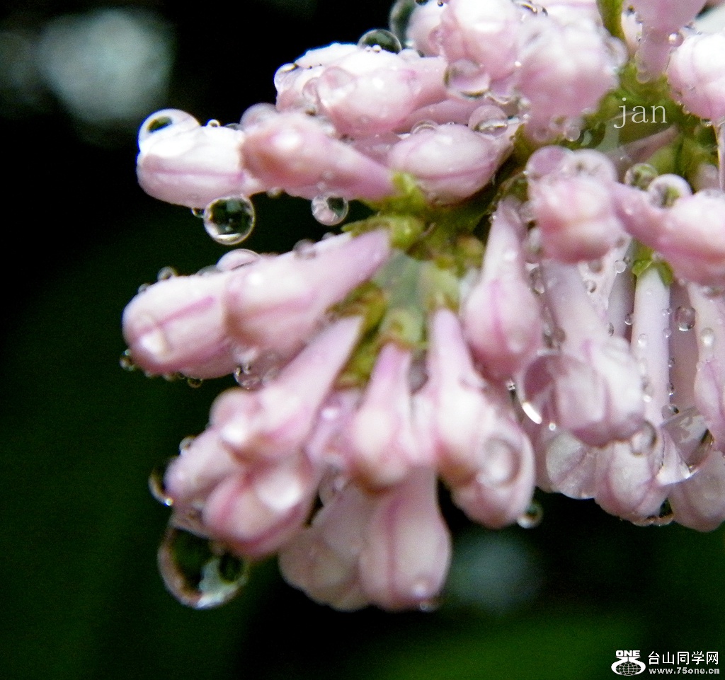 DSCF5945_.jpg