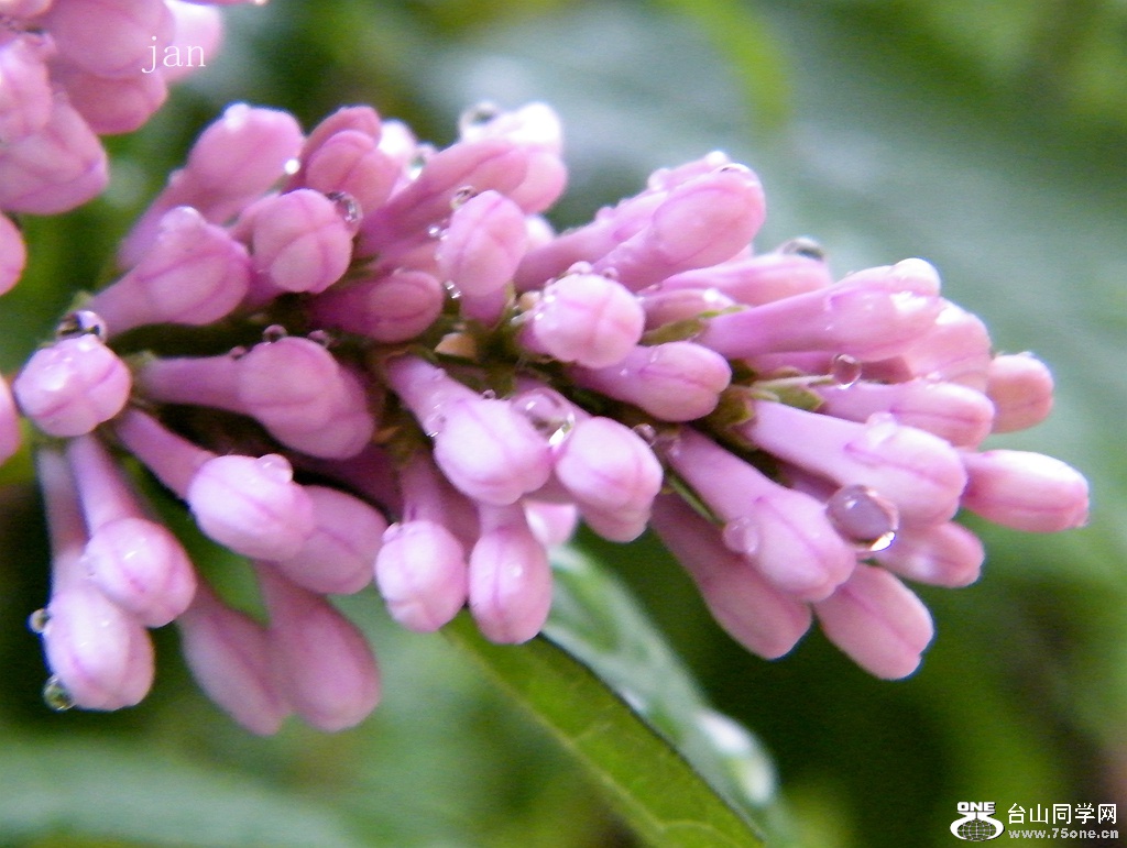 DSCF5952.JPG