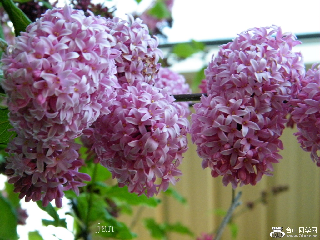 DSCF6157.JPG