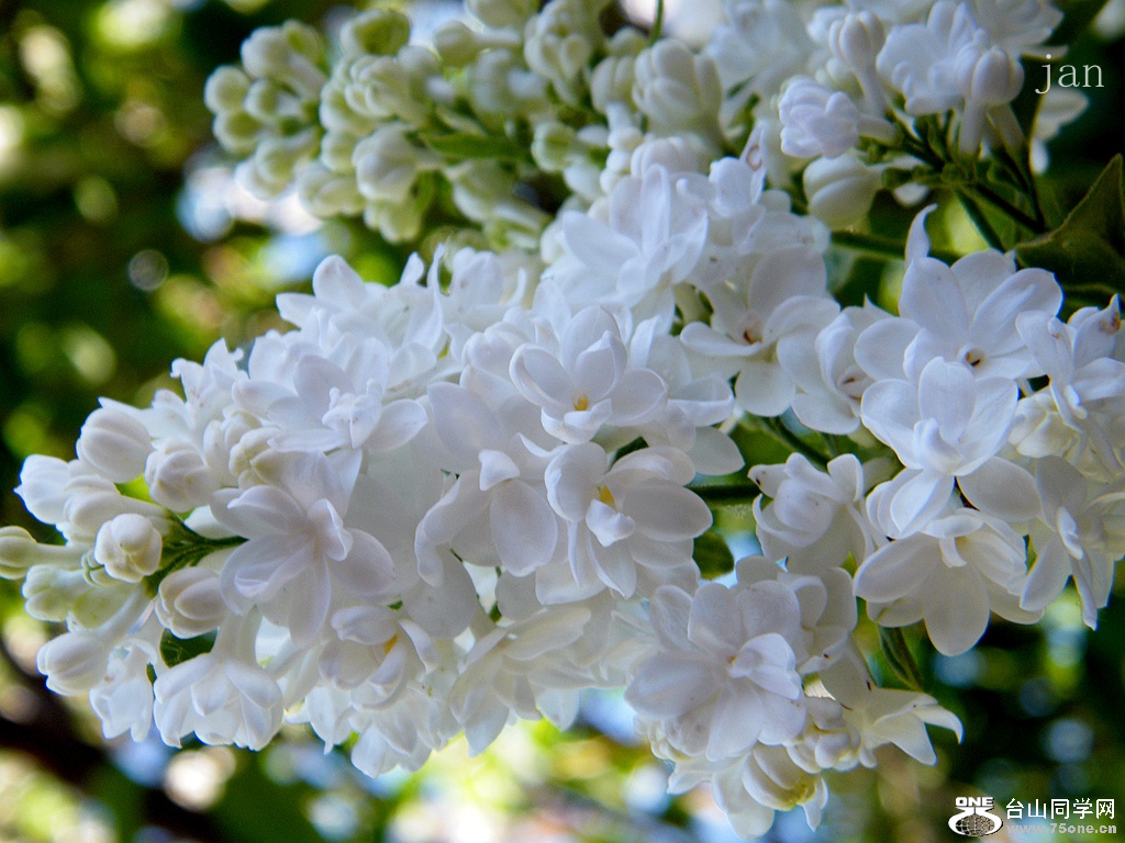 DSCF4817.JPG