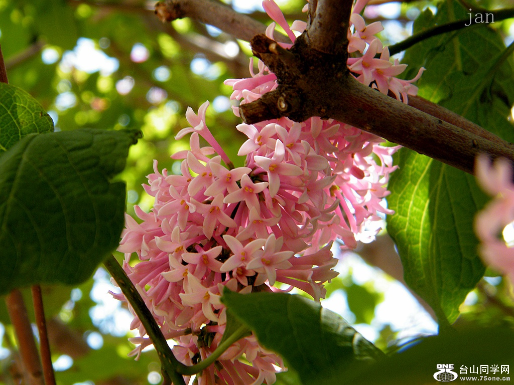 DSCF4878.JPG