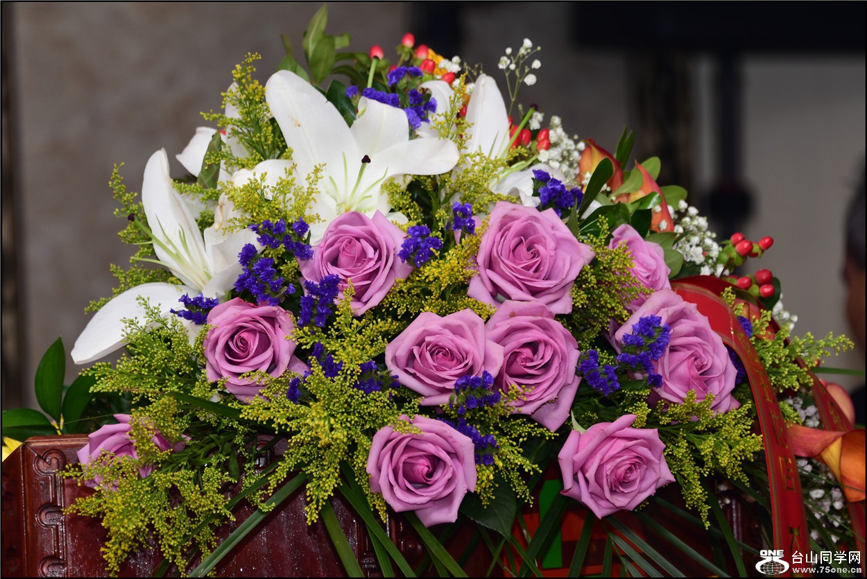 DSC_9611.jpg
