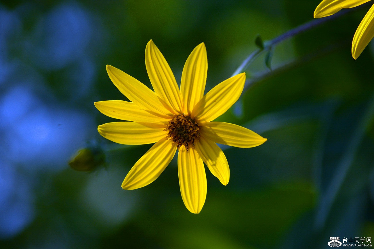 DSC_5217_38.jpg