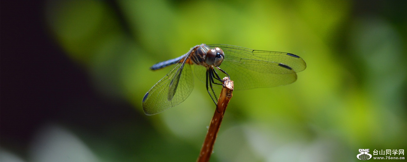 DSC_3793_32.jpg
