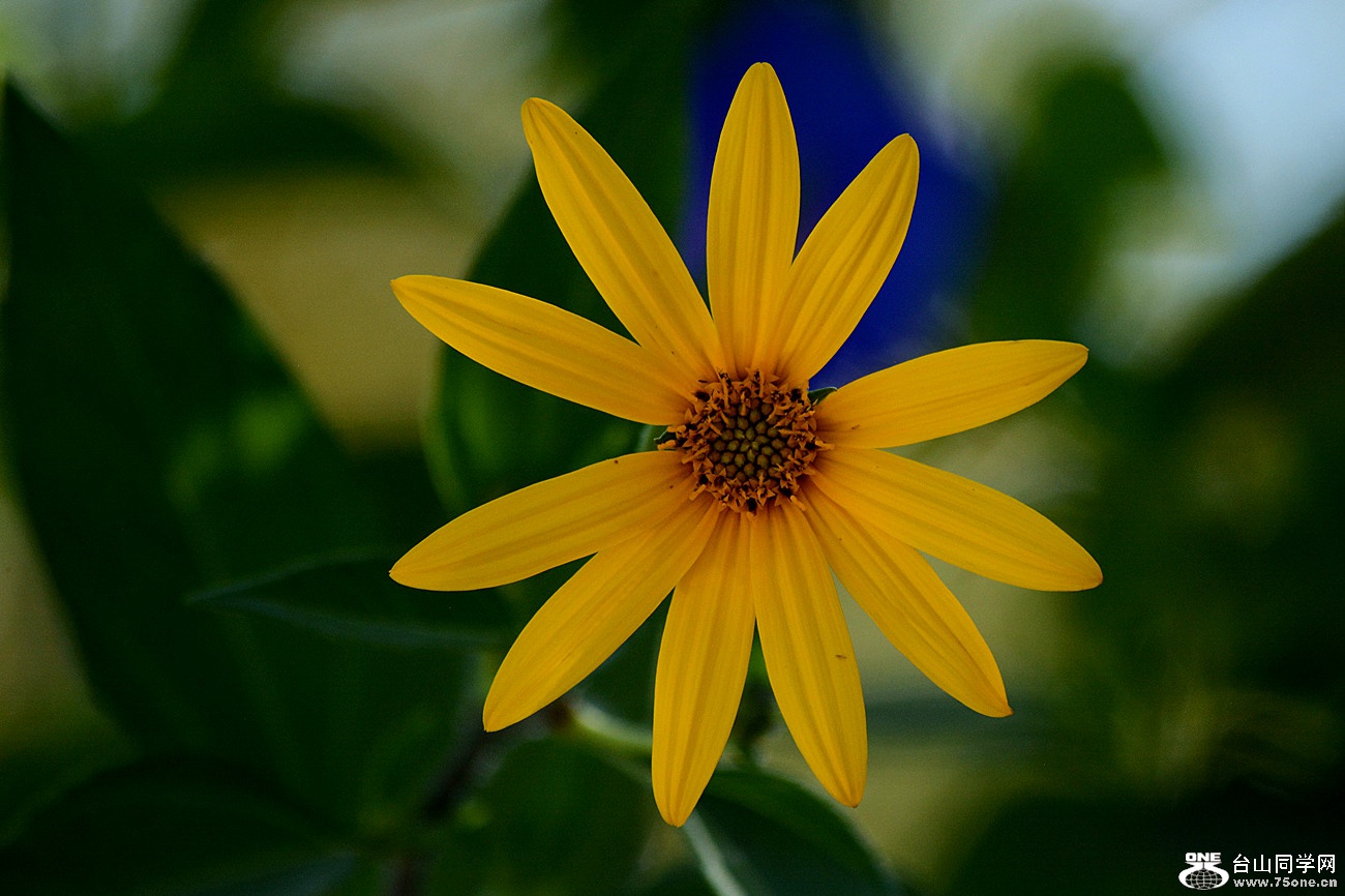 DSC_4668_23.jpg