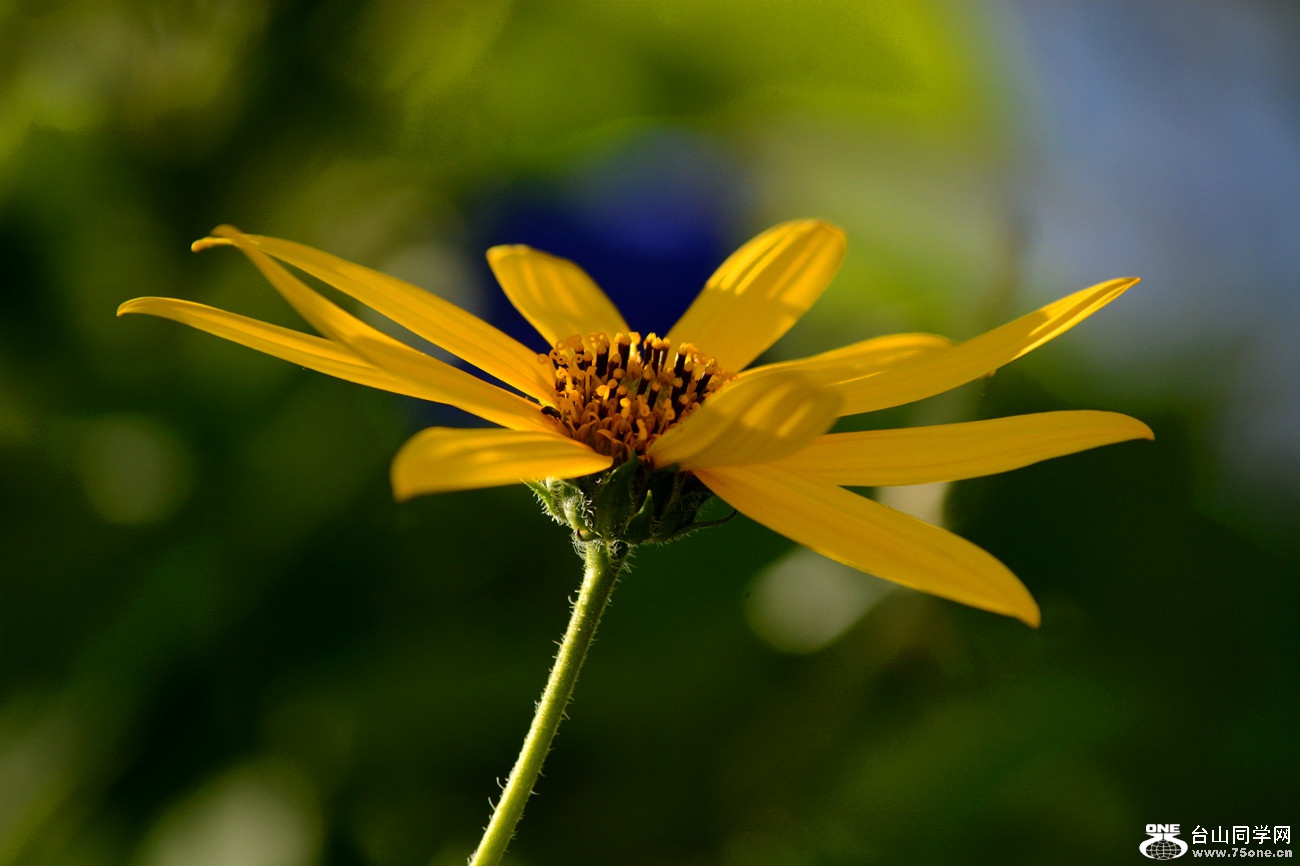 DSC_5319_44.jpg