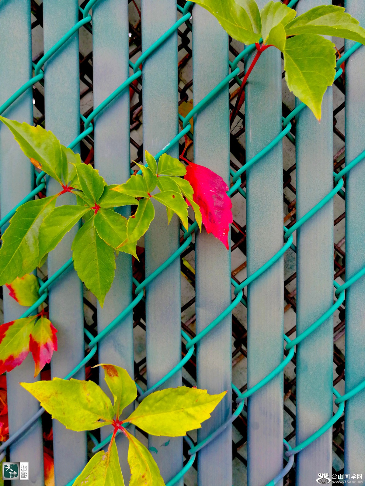 IMG_20170903_162001 (2)_.jpg