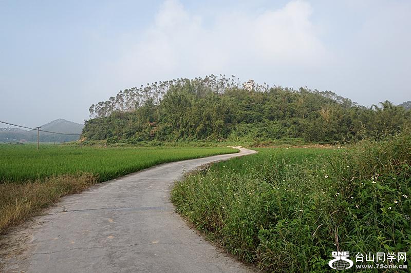 DSC03278.JPG