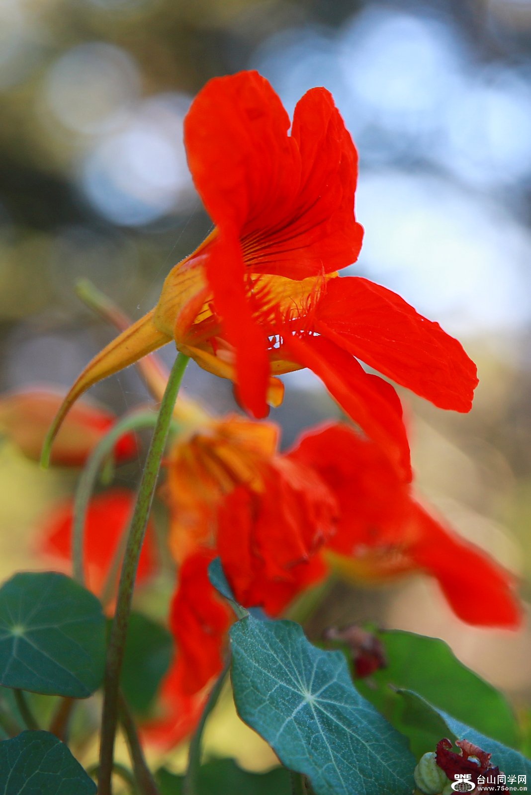 6D0A7257.JPG