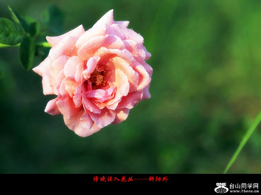 DPP_2017.10.80013_副本.jpg