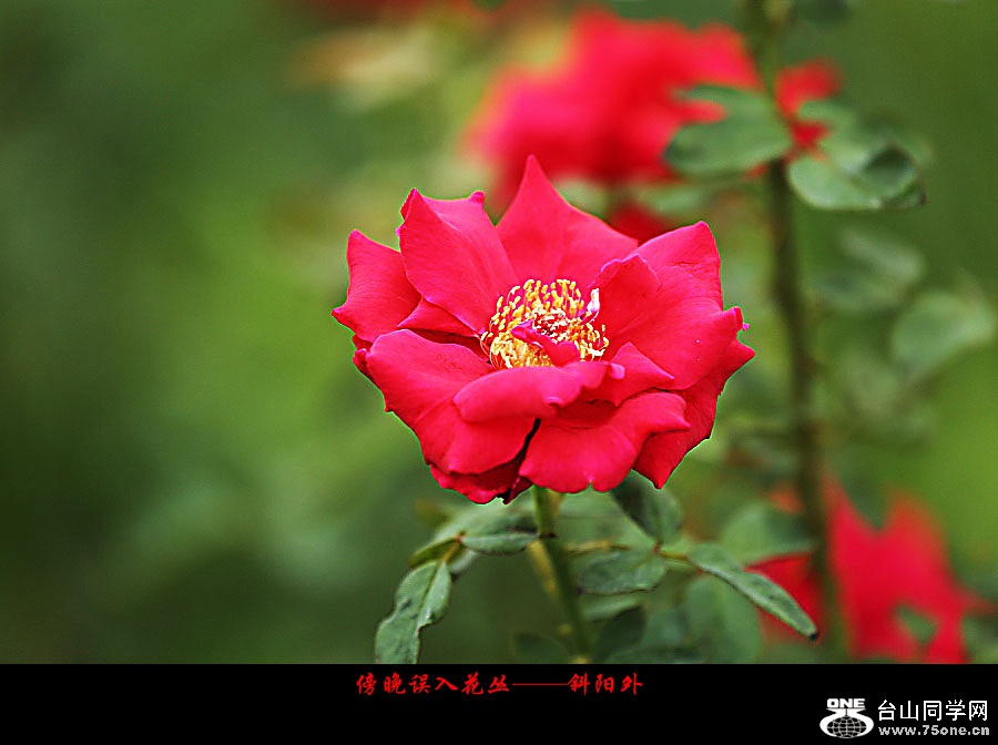 DPP_2017.10.80062_副本.jpg