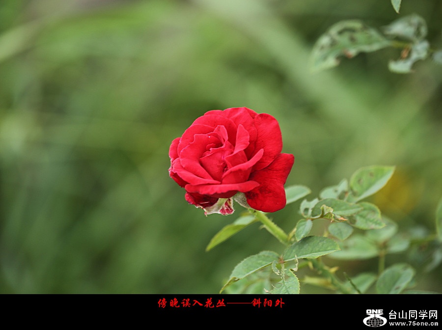 DPP_2017.10.80053_副本.jpg