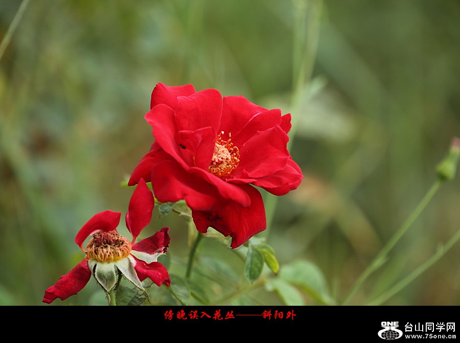 DPP_2017.10.80043_副本.jpg