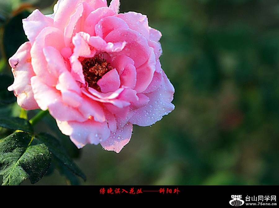 DPP_2017.10.80014_副本.jpg