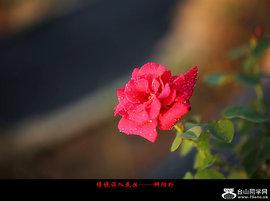 DPP_2017.10.80097_副本.jpg