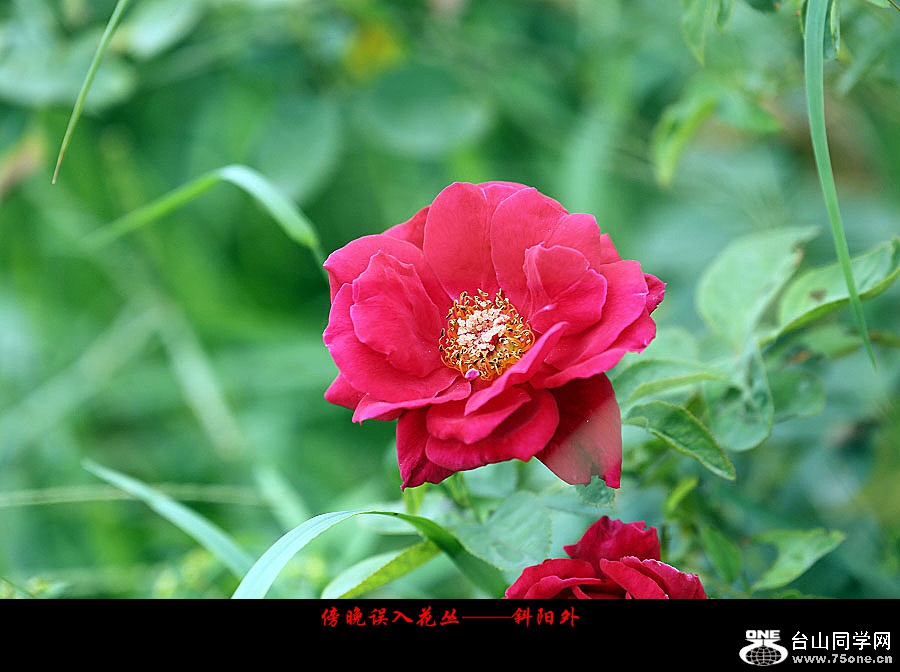 DPP_2017.10.80046_副本.jpg