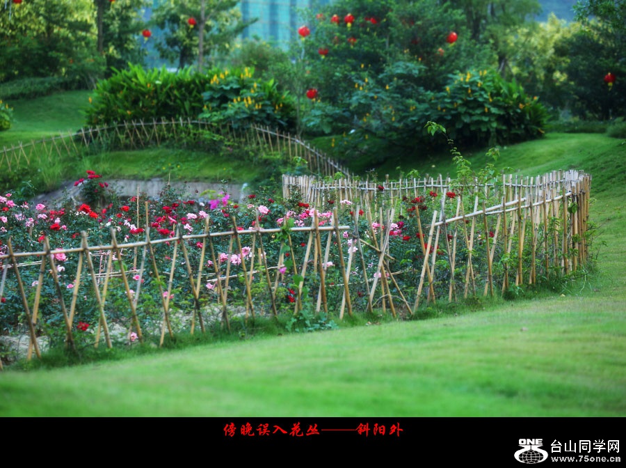 DPP_2017.10.50294_副本.jpg