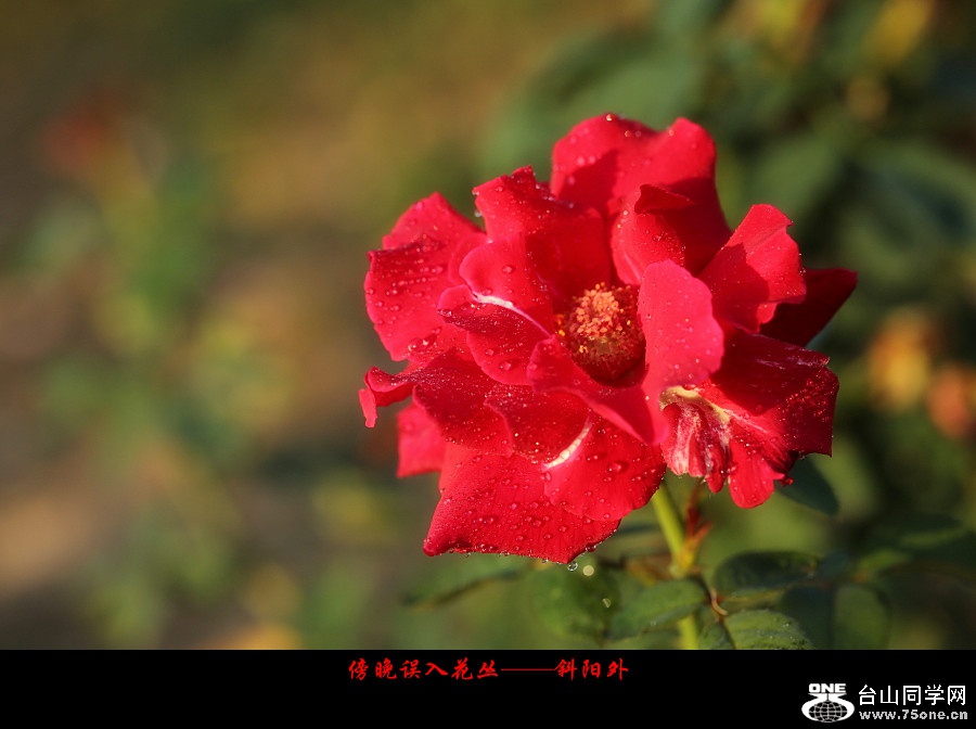 DPP_2017.10.80008_副本.jpg