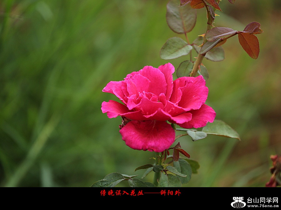 DPP_2017.10.80059_副本.jpg