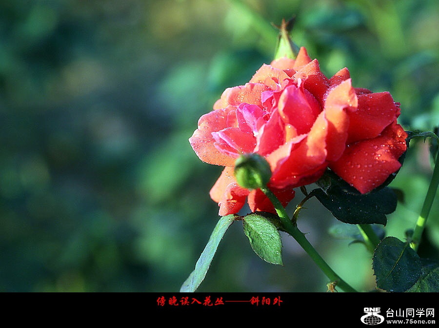DPP_2017.10.80004_副本.jpg