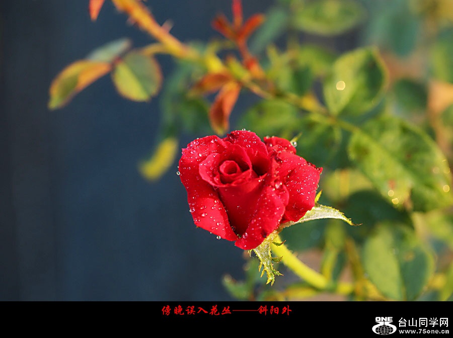 DPP_2017.10.80123_副本.jpg