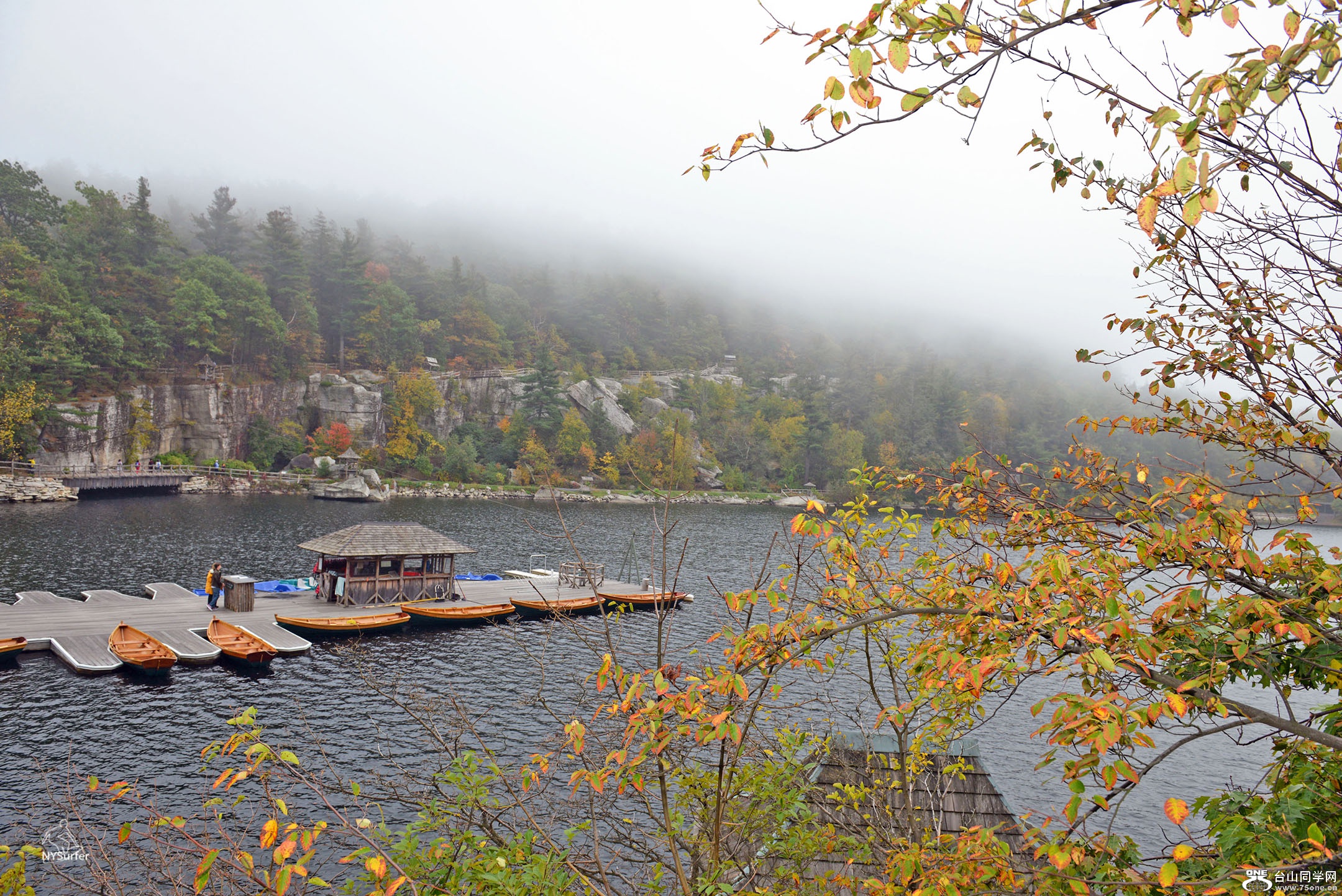 DSC_61930.jpg