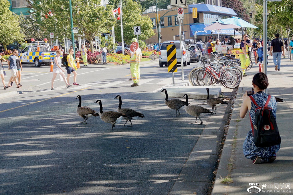 DSC05183_.jpg