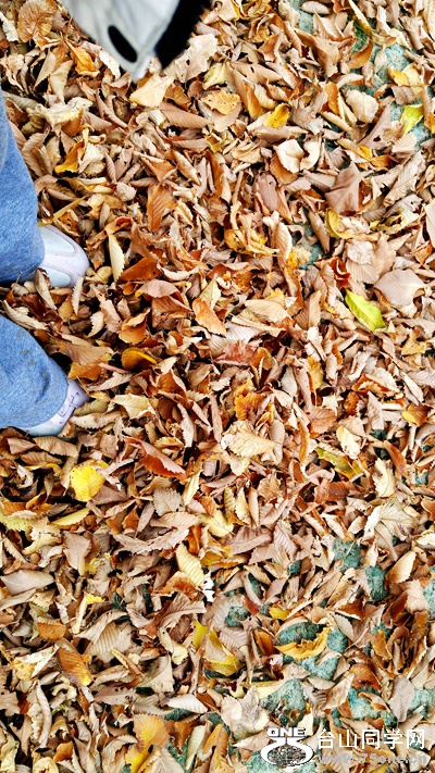 20171010_150947.jpg
