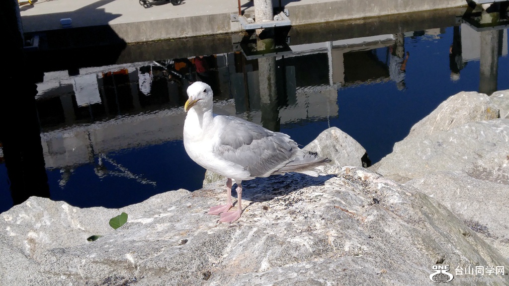 20170826_145506.jpg