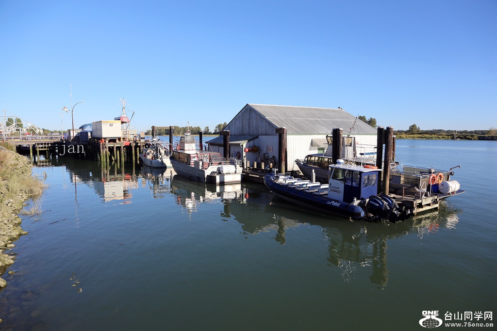 IMG_6159.JPG