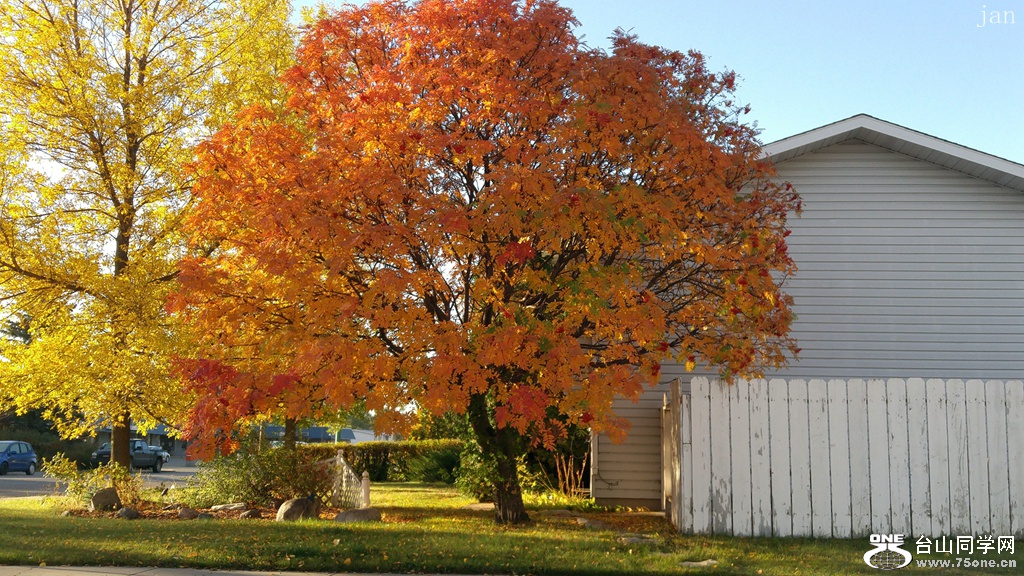 20171005_082957_.jpg