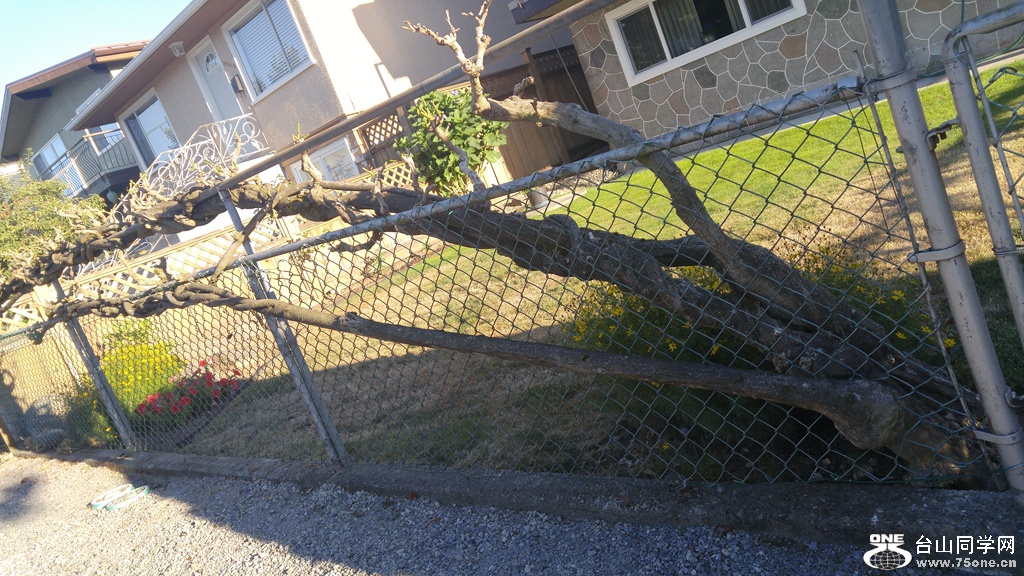 20170827_184405.jpg
