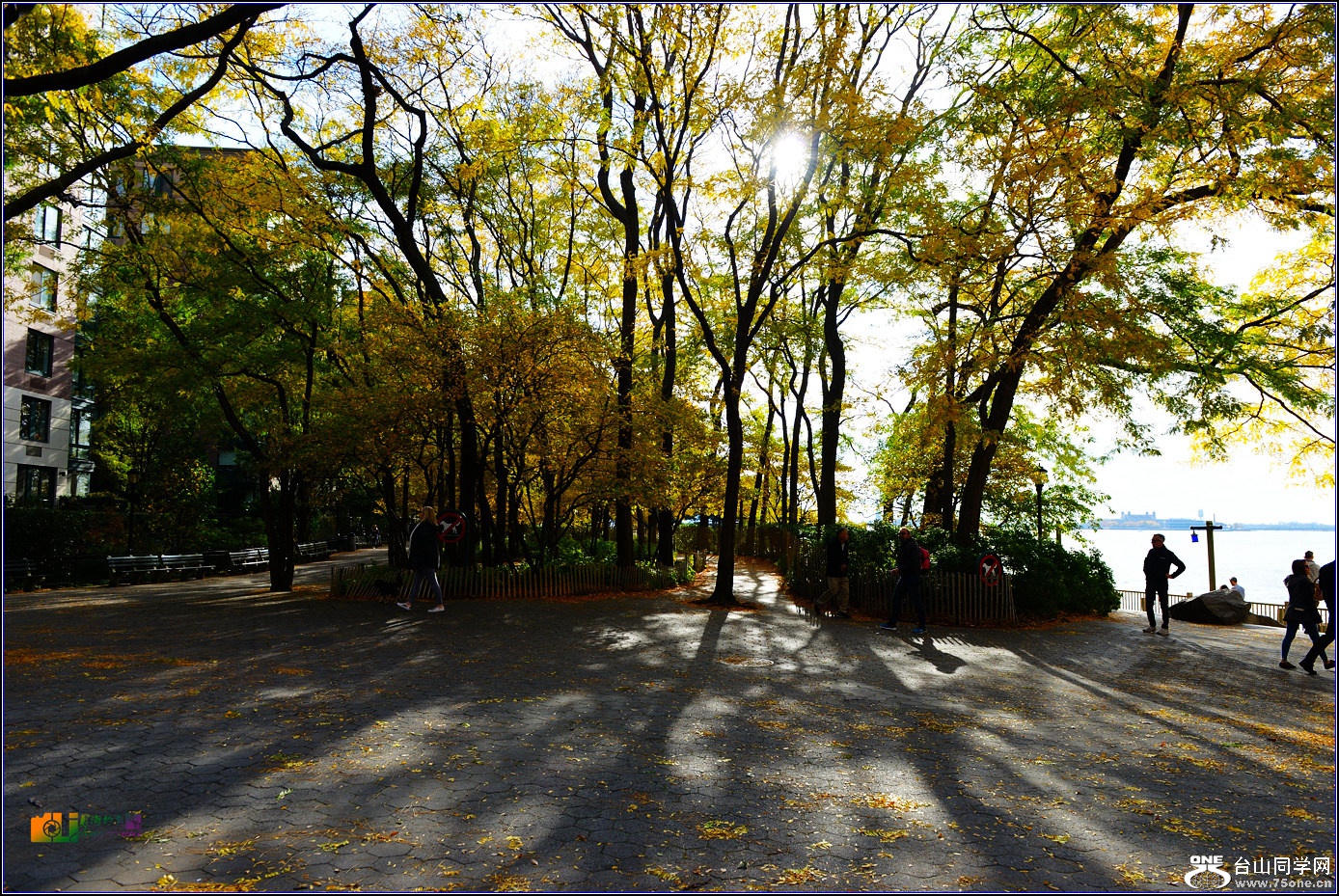 DSC_2677_.jpg