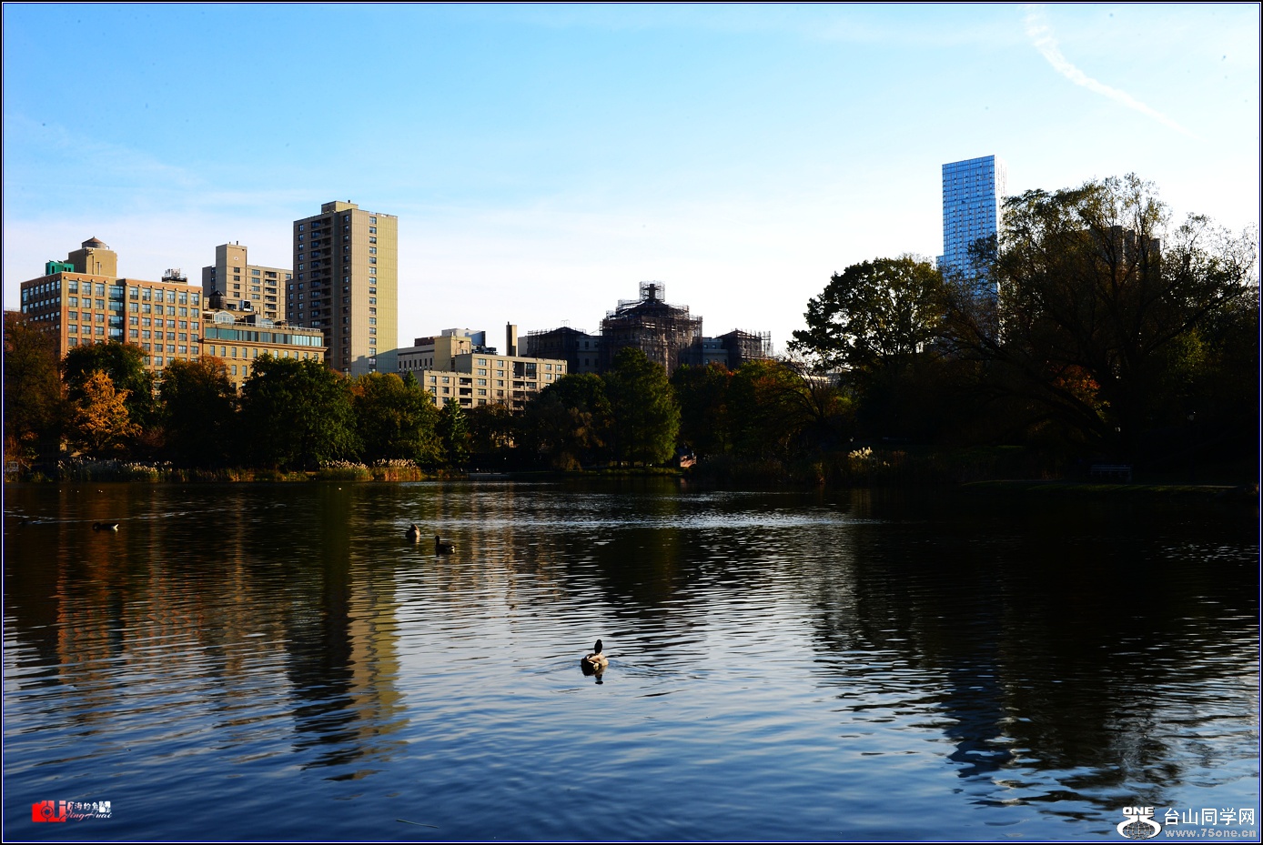 DSC_4661.jpg