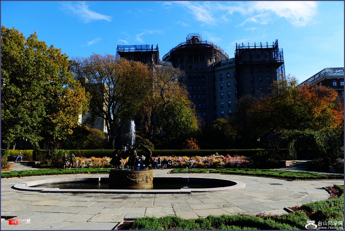DSC_4530.jpg