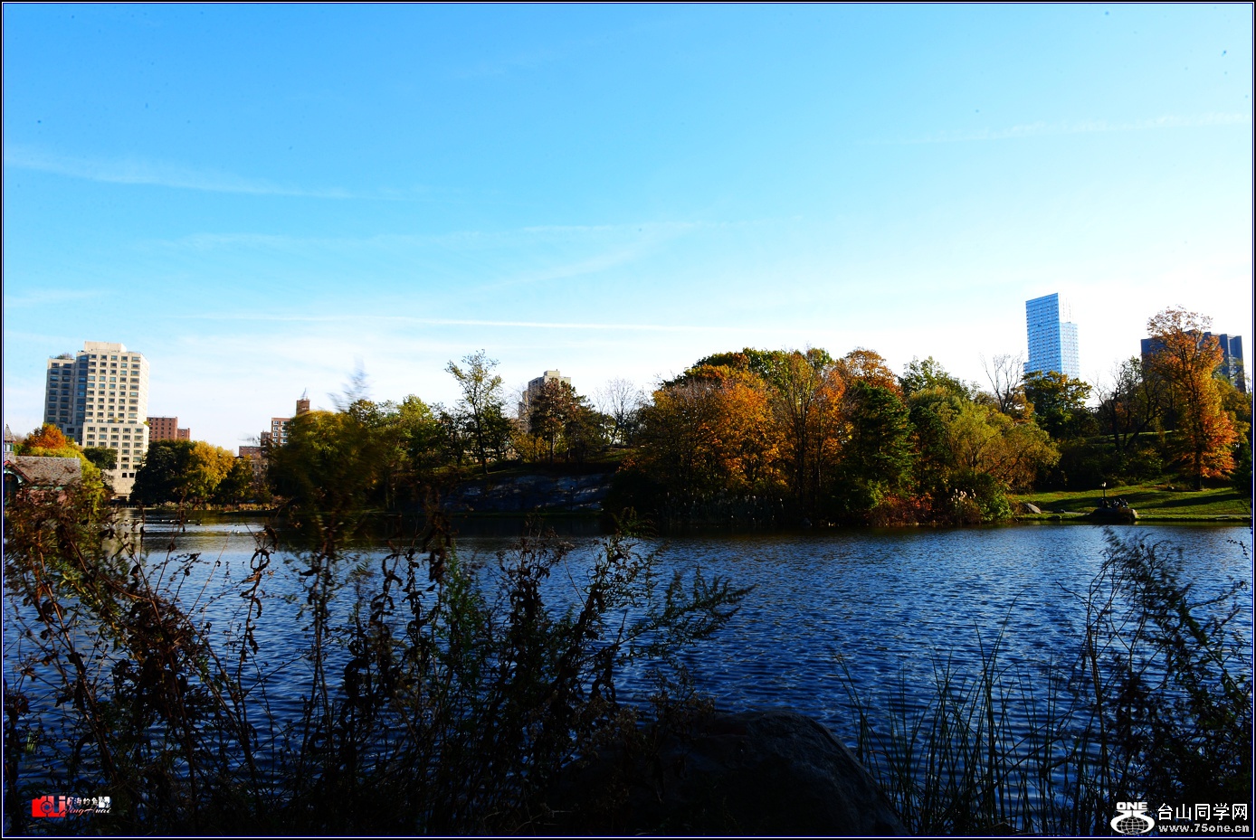 DSC_4632.jpg