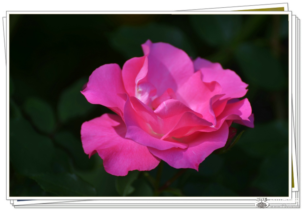 DSC_5086.jpg