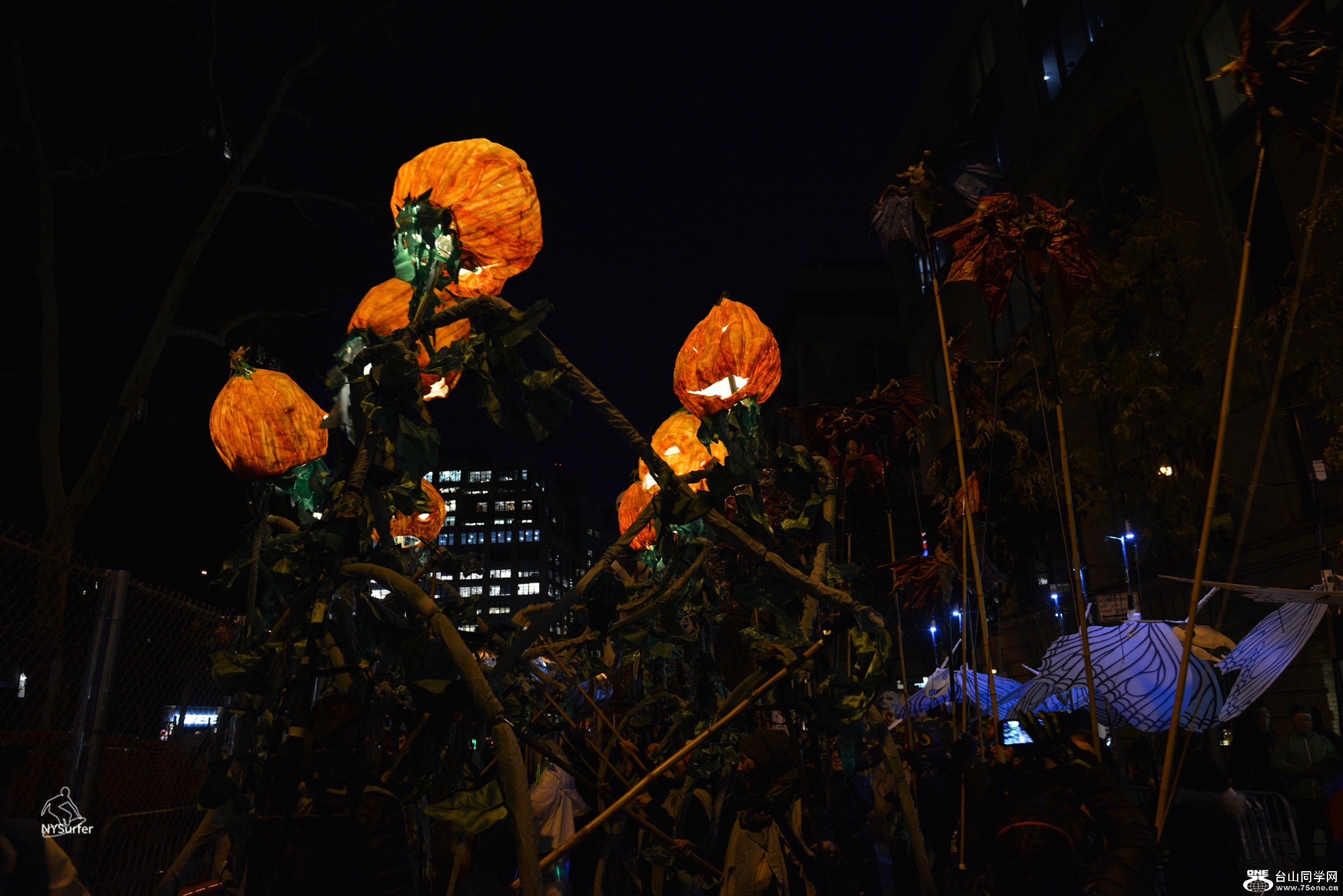 DSC_81616.jpg