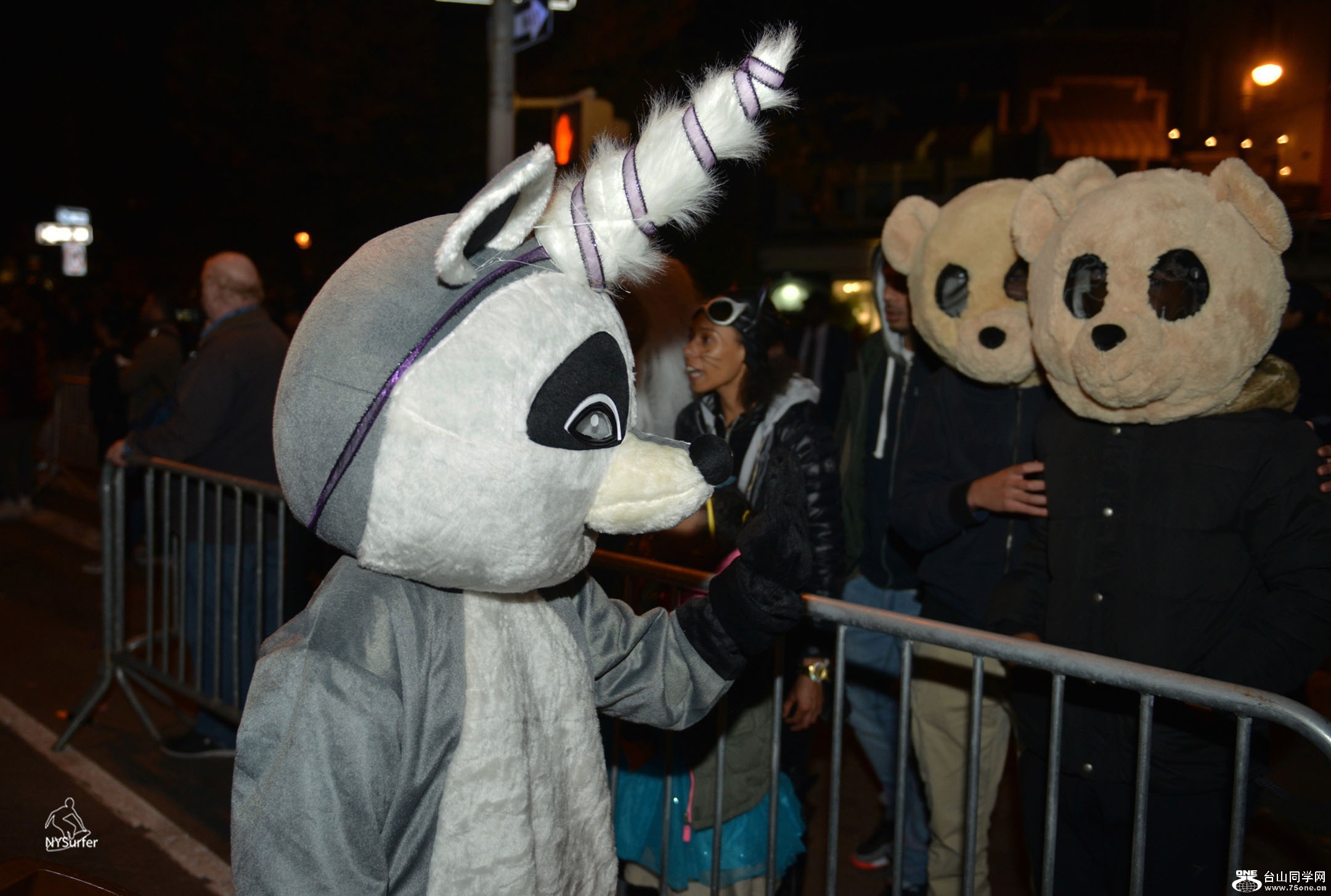 DSC_91147.jpg