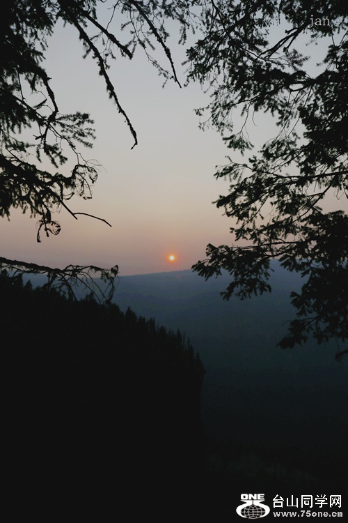 IMG_6594.JPG
