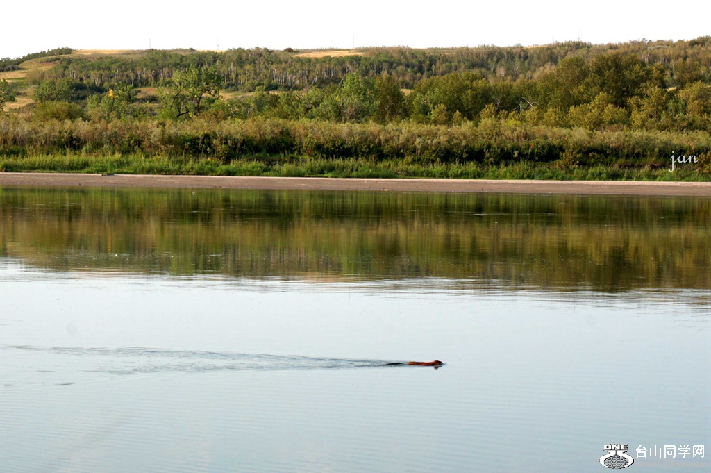 DSC04929_.jpg