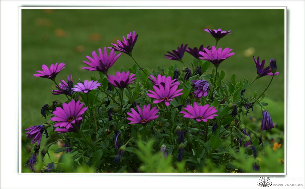 DSC_7308.jpg