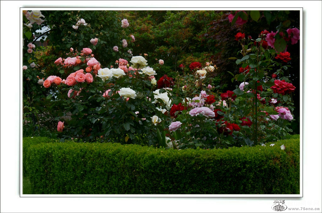 DSC_7436.jpg