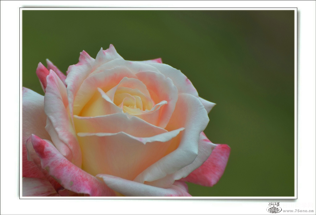 DSC_7290.jpg