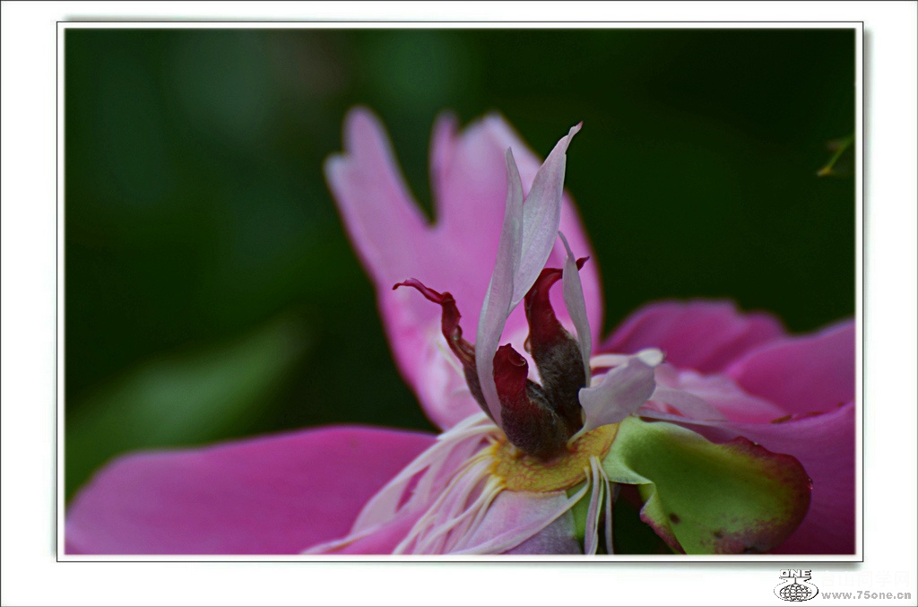 DSC_7099.jpg