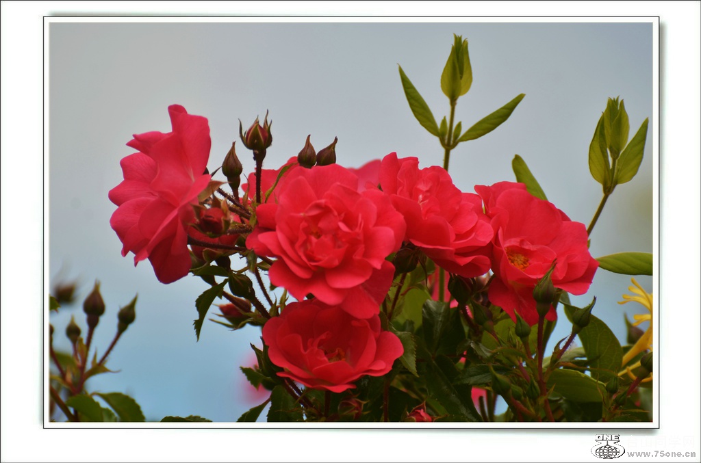 DSC_7630.jpg