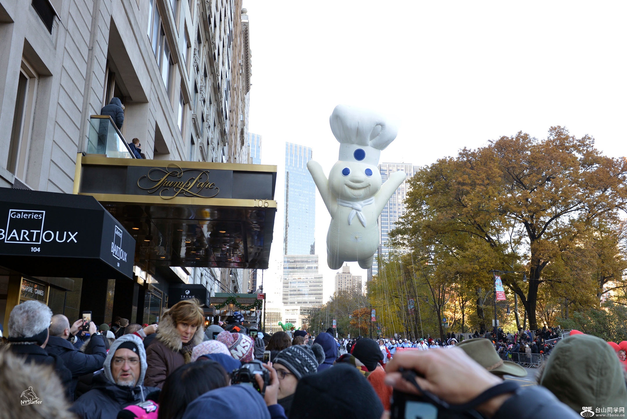 DSC_11838.jpg
