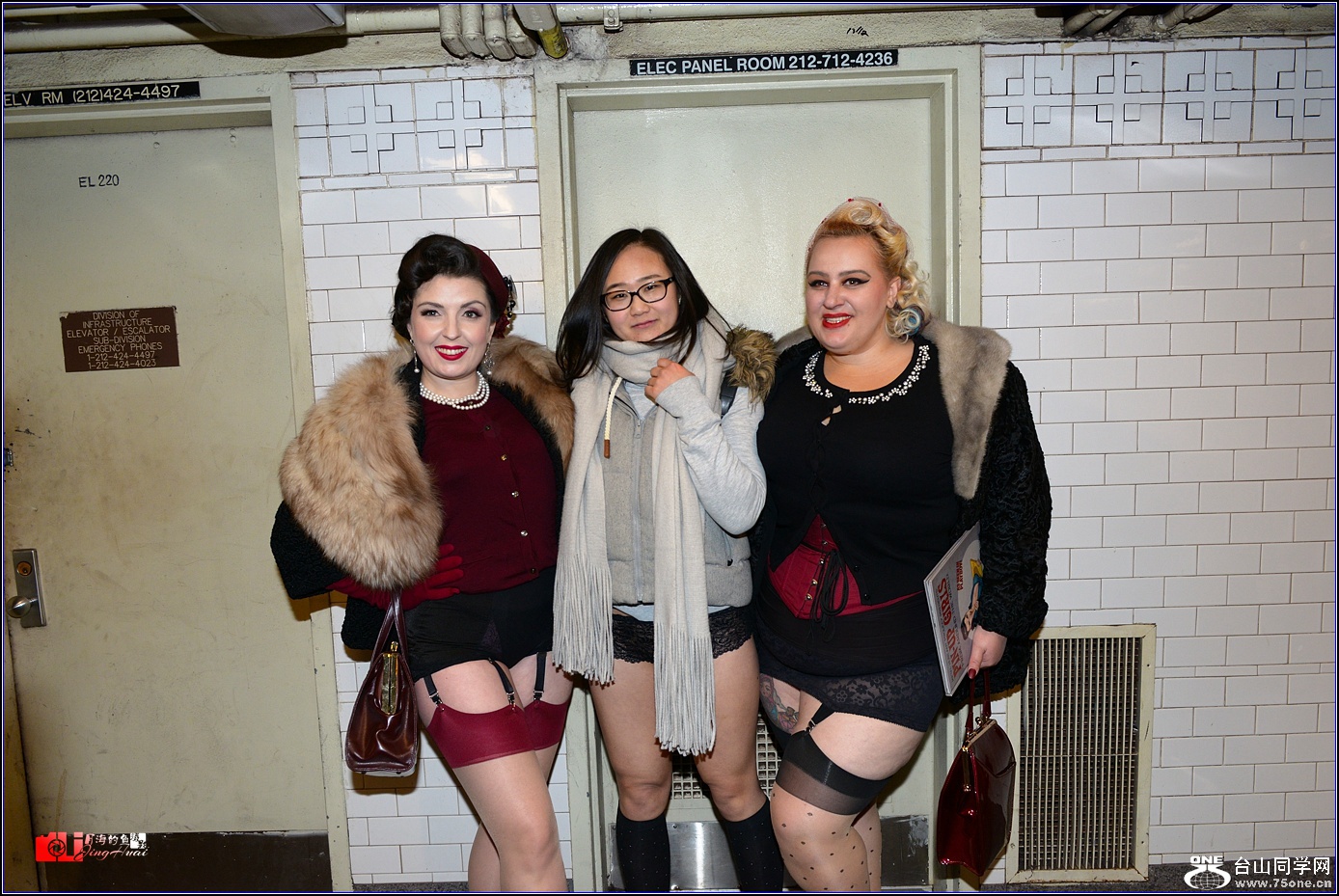 DSC_2533.jpg